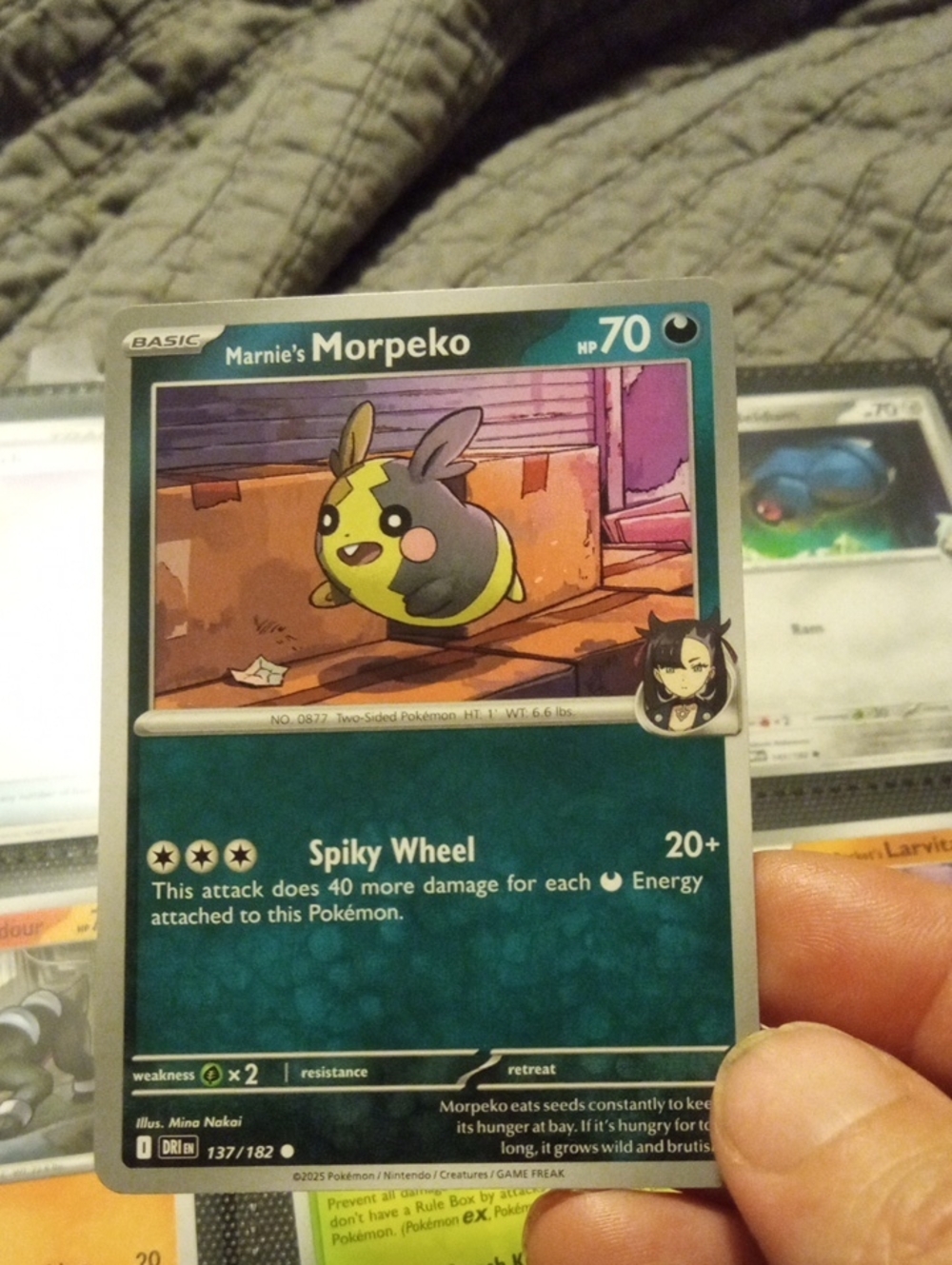 Pokemon Marnie's Morpeko Trading Card - Green, Yellow, Black